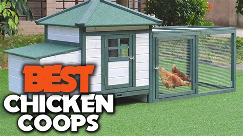 chicken coop youtube|best chicken coops to buy.